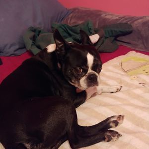 Meet your Posher, Nora